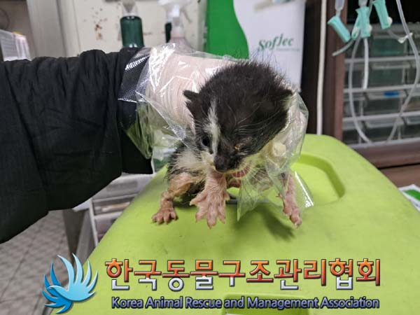 한국동물구조관리협회_411323202400961